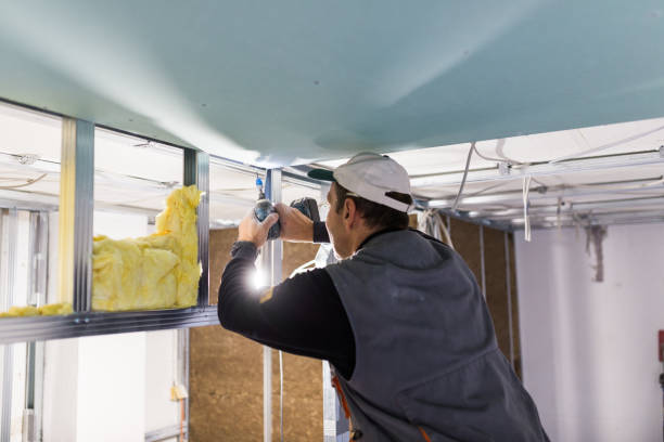 Best Insulation Installation Services in Tri Lakes, IN