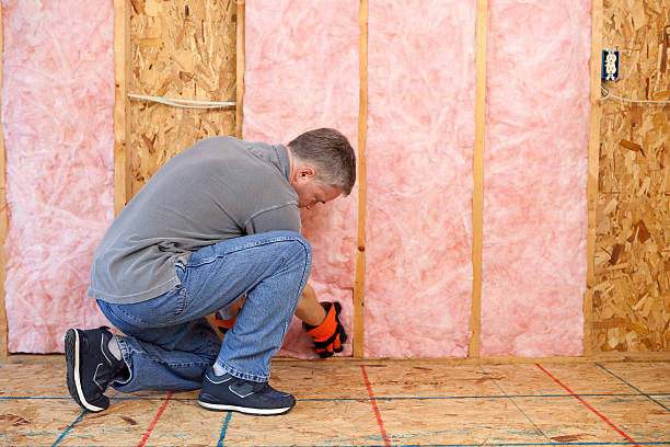 Best Insulation Maintenance and Repair in Tri Lakes, IN